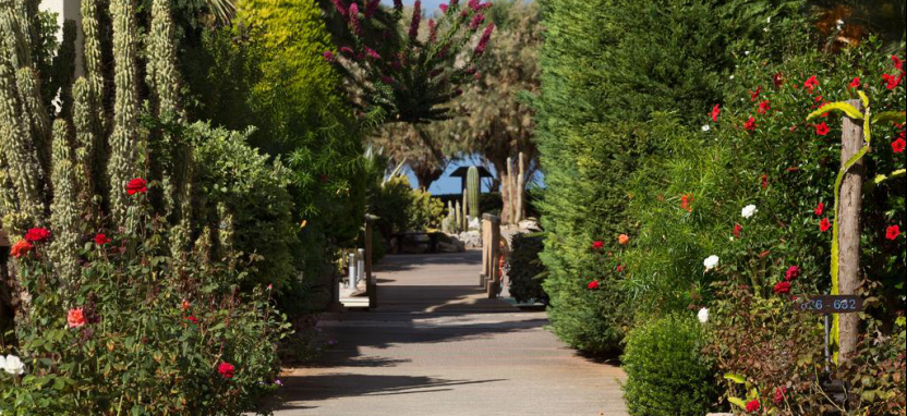 Cretan Malia Park на острове Крит забронировать отель.