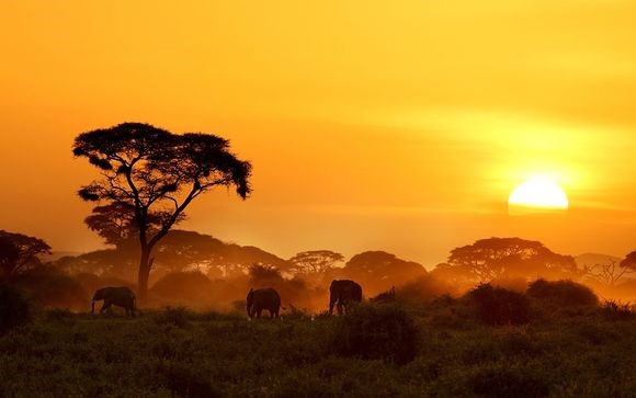 Национальный парк в Кении