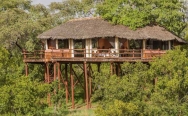 Tarangire Treetops by Elewana 5*