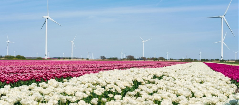 Отдых в Голландии