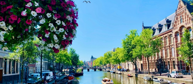Поездка в Нидерланды
