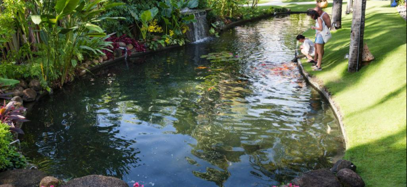 Hotel Terracota Resort 4* в Фантьете.