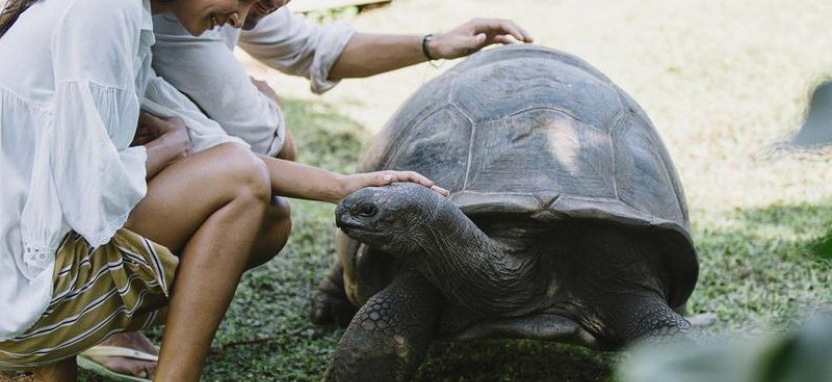 Raffles Seychelles 5* о. Праслен