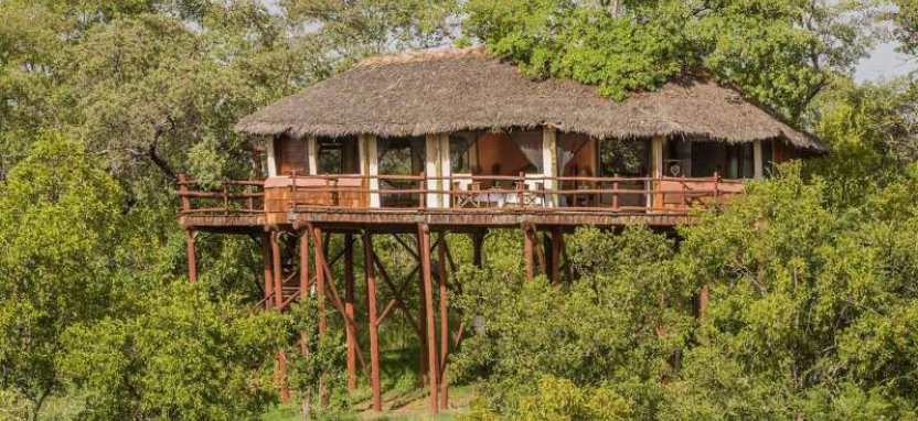 Tarangire Treetops by Elewana 5*