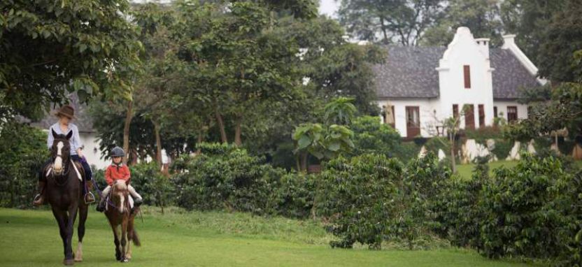 Elewana The Manor Ngorongoro 5*