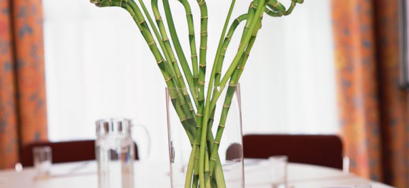 Отель NH Salzburg City забронировать отель.