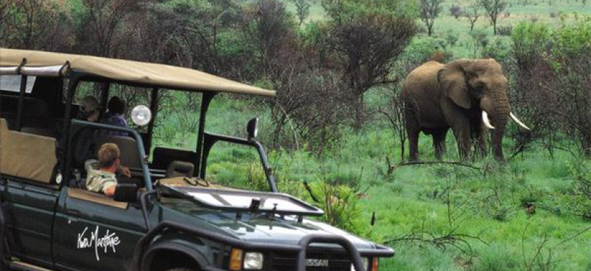 Отель Kwa Maritane Bush Lodge в Пиланесберге забронировать отель.