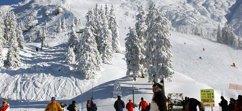 Astoria Relax & Spa в Зеефельде забронировать отель.