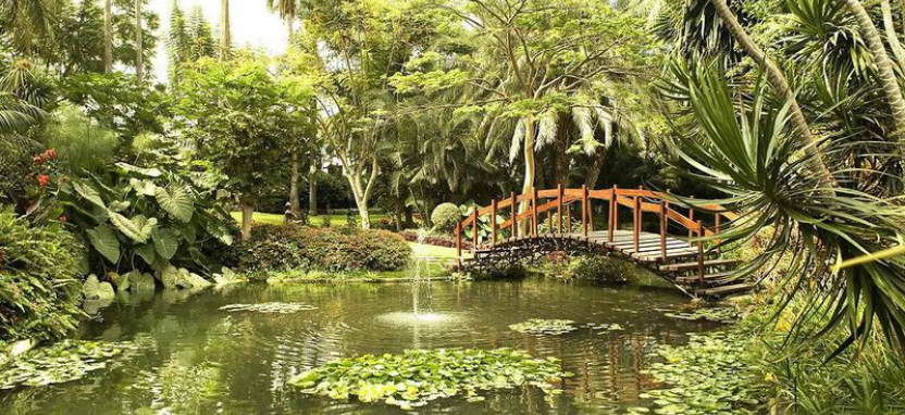 Отель Botanico & The Oriental Spa Garden на Тенерифе забронировать отель.