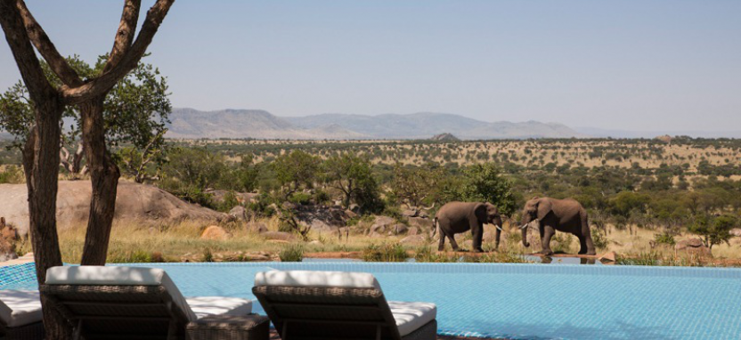 Four Seasons Safari Lodge Serengeti 5*