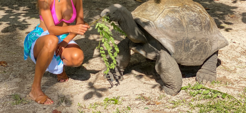 Constance Ephelia Seychelles 5* о. Маэ