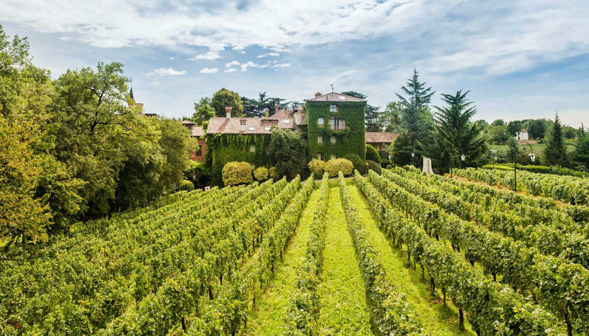 L’Albereta Relais & Chateaux объявляет детокс-август!