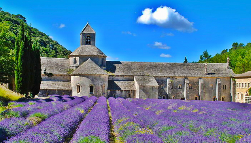 Франция в мини-группах