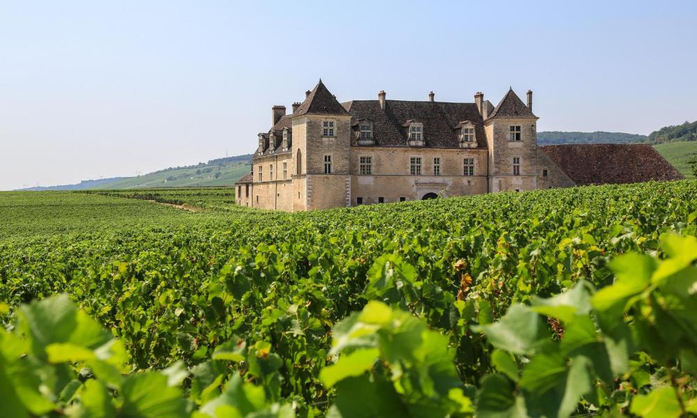 Château du Clos de Vougeot